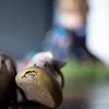 Etüd vum Liser: Alimenter si kruzial fir der Aarmut ze entkommen | © picture alliance / photothek | Ute Grabowsky