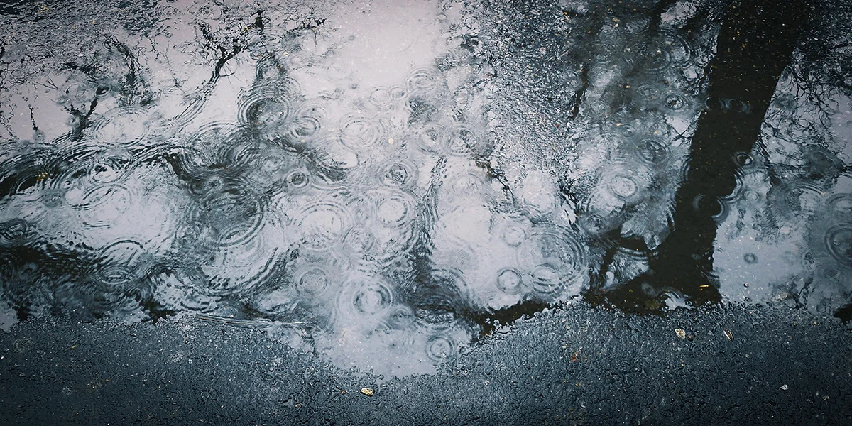 De Juli war méi naass wéi soss, awer net méi waarm | © Unsplash