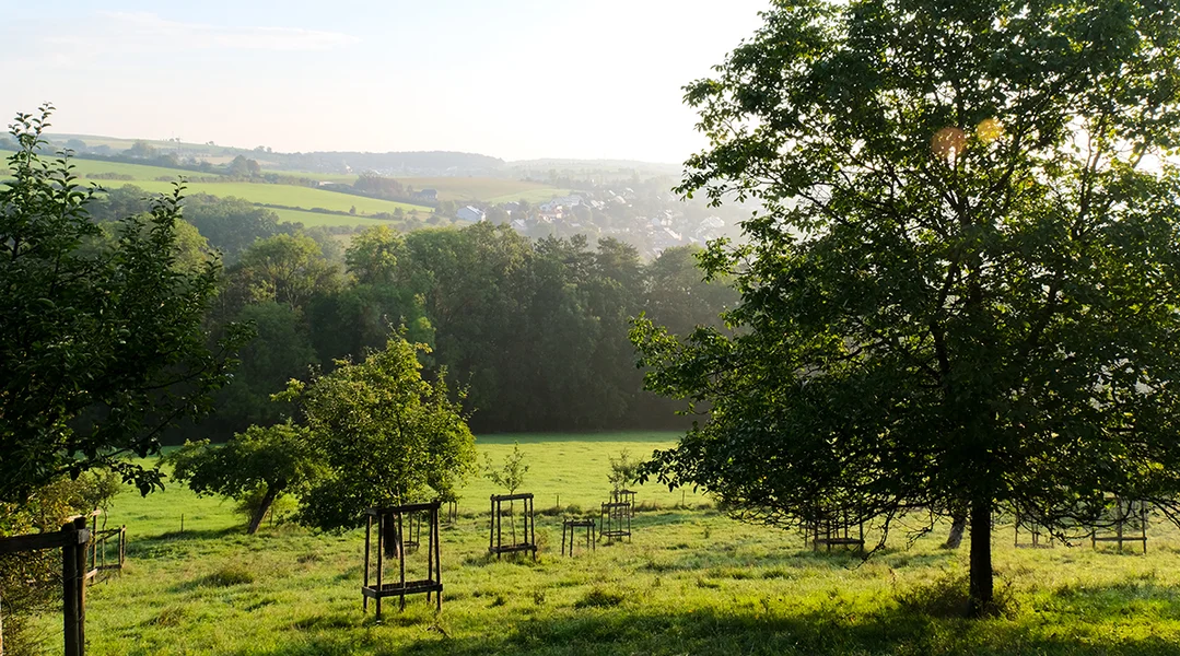 Pestizid-Réckstänn op den Äppel: Elo reagéiert och de Landesuebstbauveräin | © Jo Diseviscourt