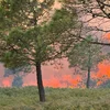 Schlëmm Bëschbränn a Frankräich | © Sécurité Civile