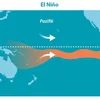 El Niño: Wat bedeit de Klima-Phenomeen fir Lëtzebuerg? | © picture alliance/dpa/dpa-infografik GmbH | dpa-infografik GmbH