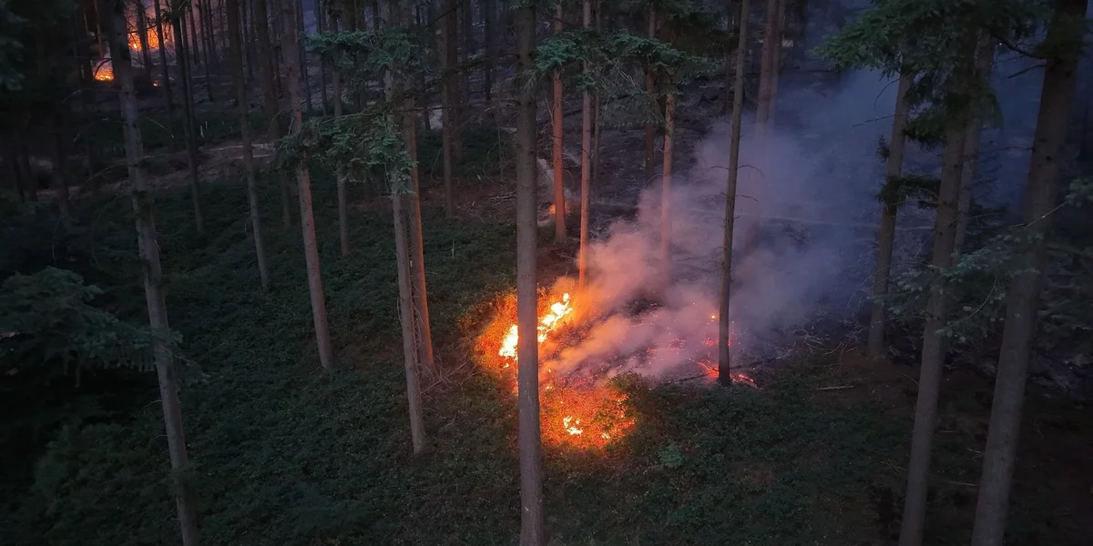 Groussbrand a Rheinland-Pfalz: Feier kann nëmme schwéier geläscht ginn  | © picture alliance/dpa