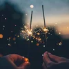 E rouegt Silvester fir d'Déieren duerch klassesch Musek?