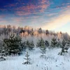 Verschneite russesch Zarewelt | © bearfotos