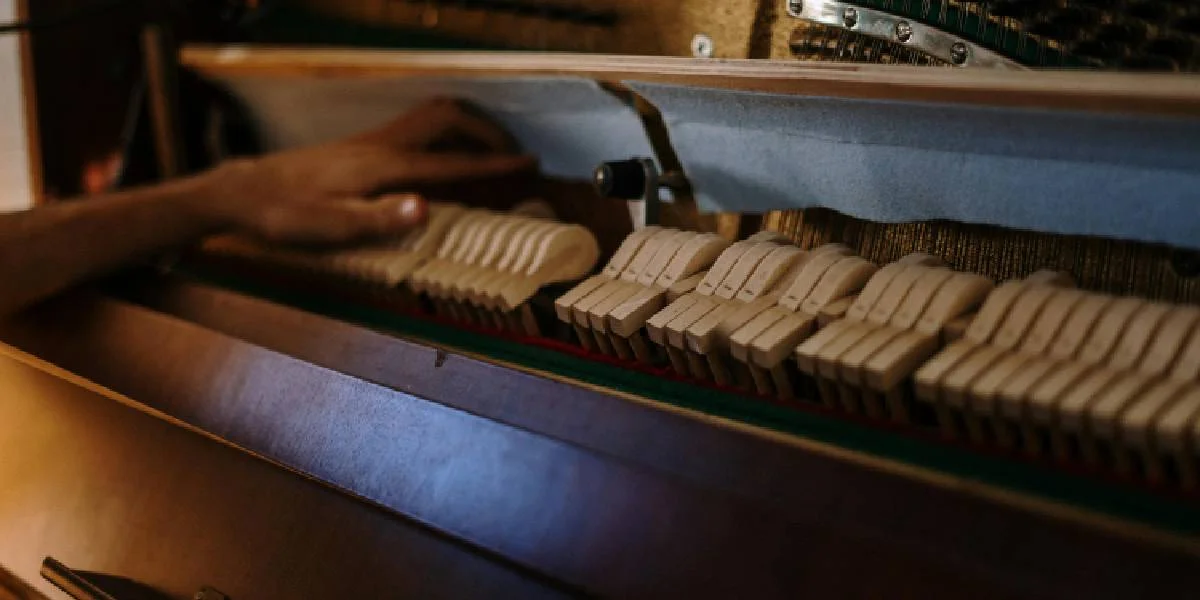 Virun 200 Joer - Filz beim Piano kënnt an den Asaz | © Pexels