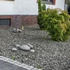 Gemenge géint Schottergäert