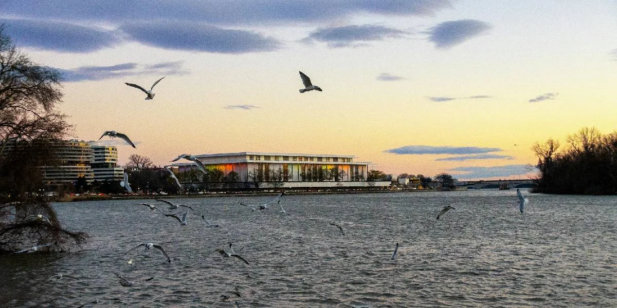 Yachten am Kennedy Center? | © Mike Stoll / Unsplash