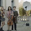 Fir d’Klassik- a Kinosfans: Stradivari-Film an den däitsche Kinoen | © Screenshot Trailer