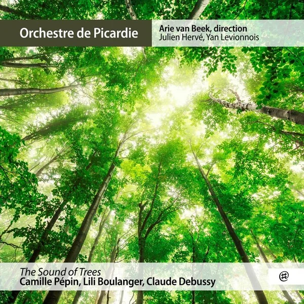 Images pour piano, série 1, L. 110, II. Hommage à Rameau