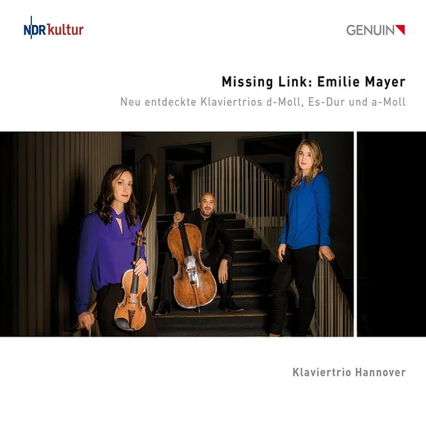 Trio Nr.3 a Mi bémol Maj. fir Piano, Gei an Cello, I. Allegro maestoso