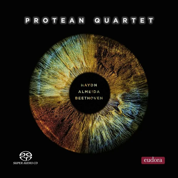 Sträichquartett Nr.6 a Ré Majeur, Op. 33, II. Andante