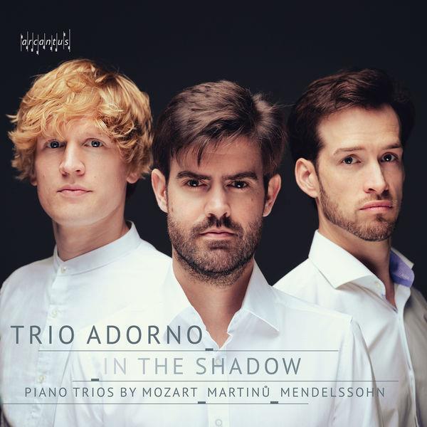 Pianos Trio an Do Mineur, Op. 66, I. Allegro energico con fuoco